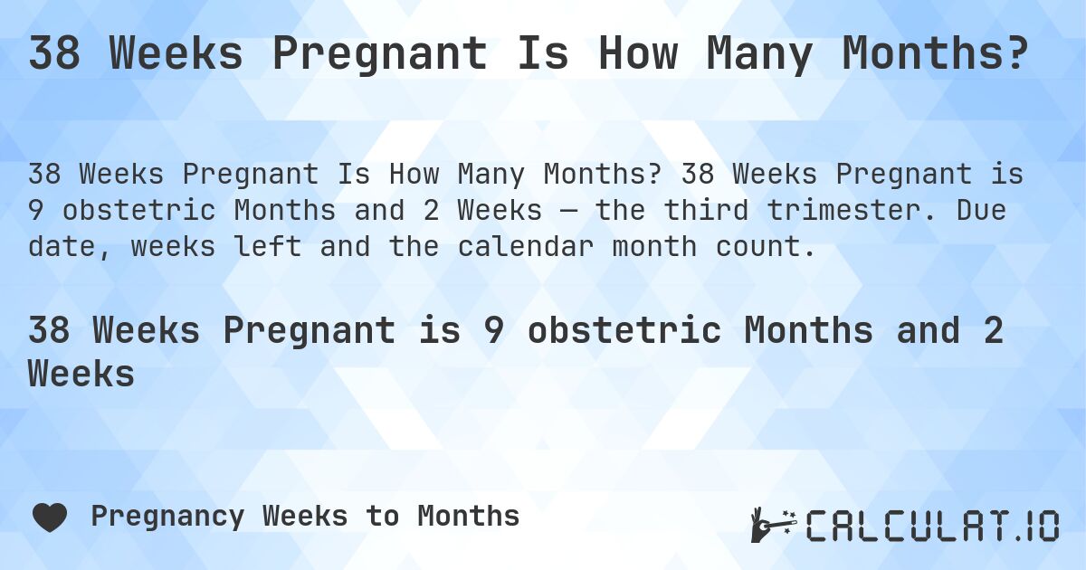 38 Weeks Pregnant Is How Many Months?. 38 Weeks Pregnant is 9 obstetric Months and 2 Weeks — the third trimester. Due date, weeks left and the calendar month count.