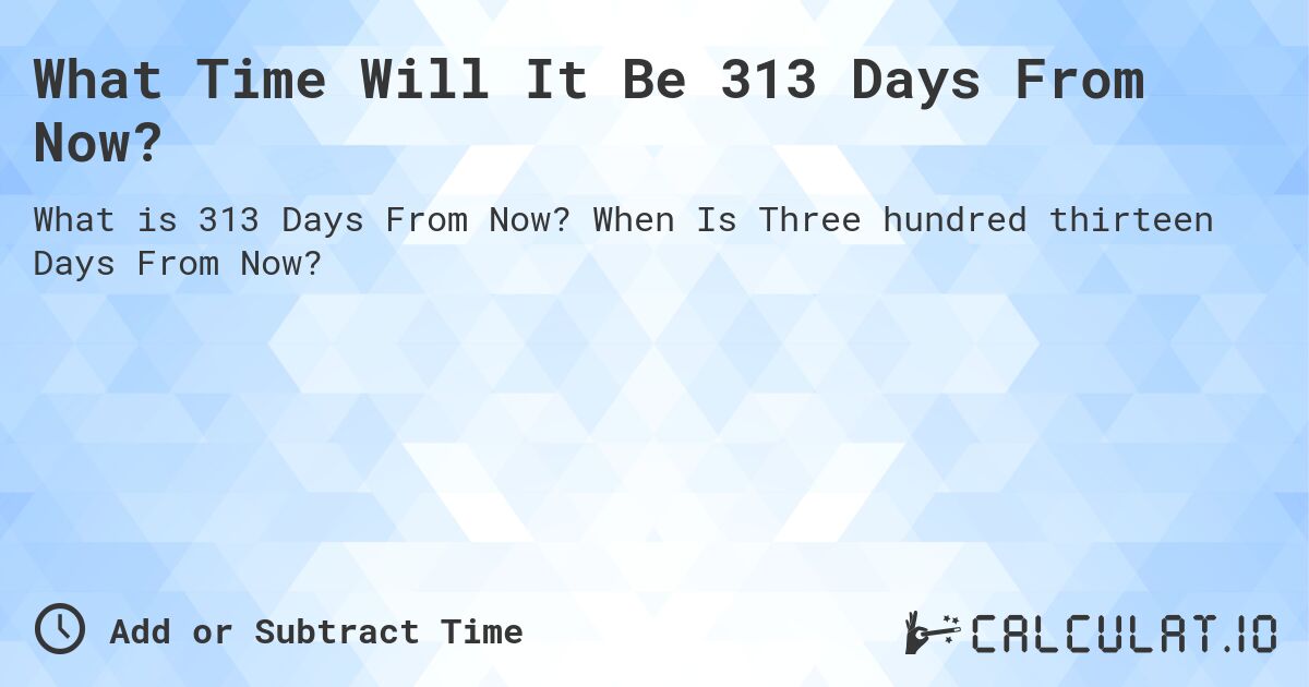 What Time Will It Be 313 Days From Now?. When Is Three hundred thirteen Days From Now?