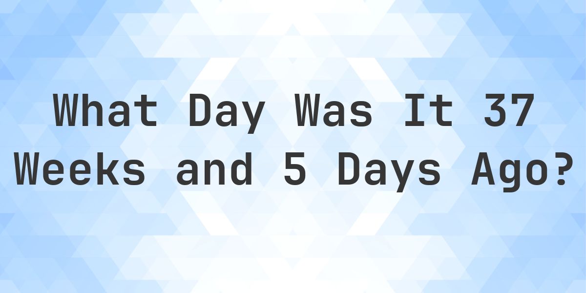 What Day Was It 37 Weeks and 5 Days Ago From Today? - Calculatio