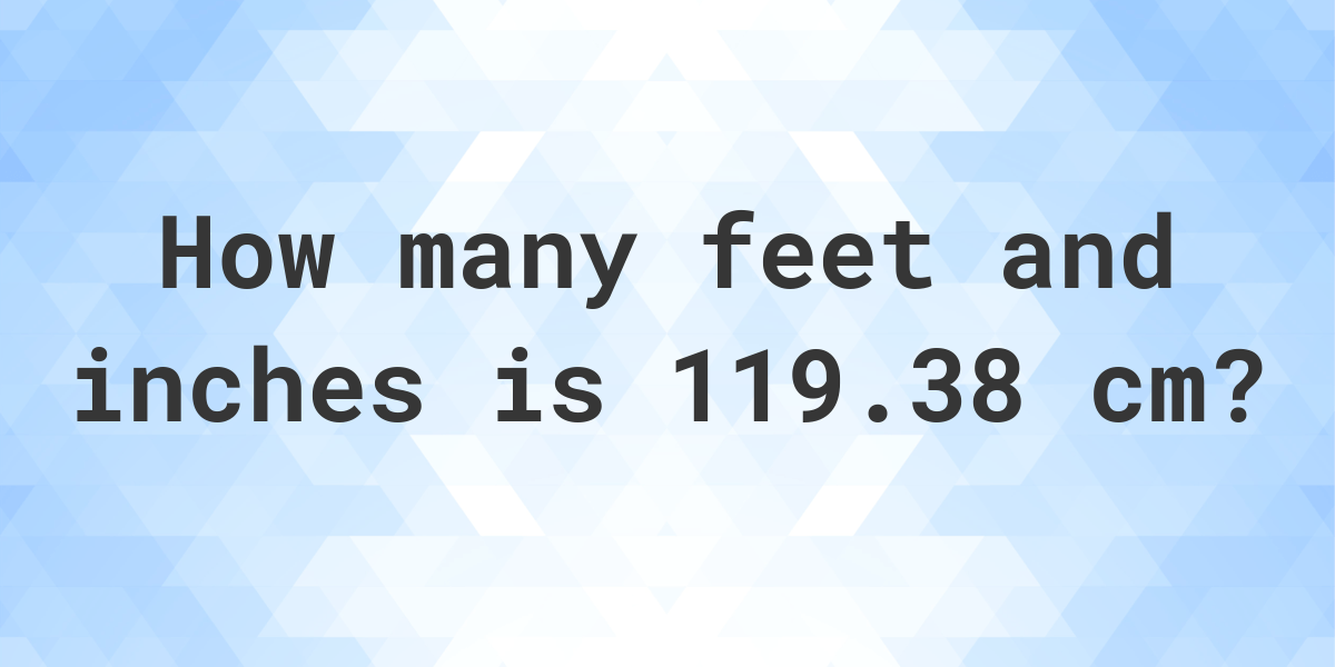 what-is-119-38-cm-in-feet-and-inches-calculatio