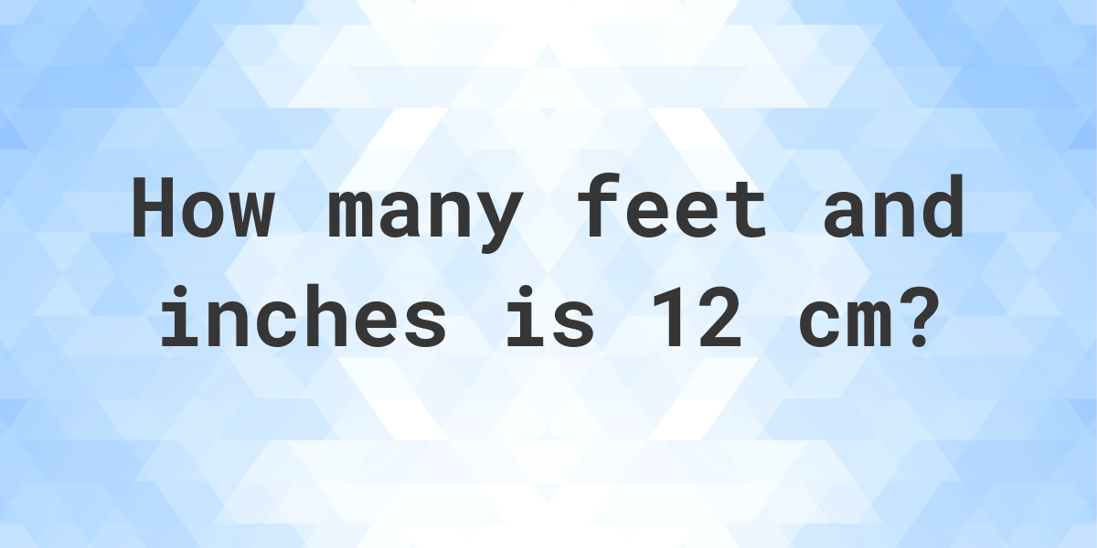 How Big Is 12 Cm In Feet