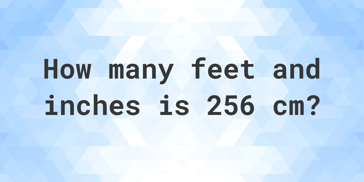 What Is 256 Cm In Feet And Inches Calculatio