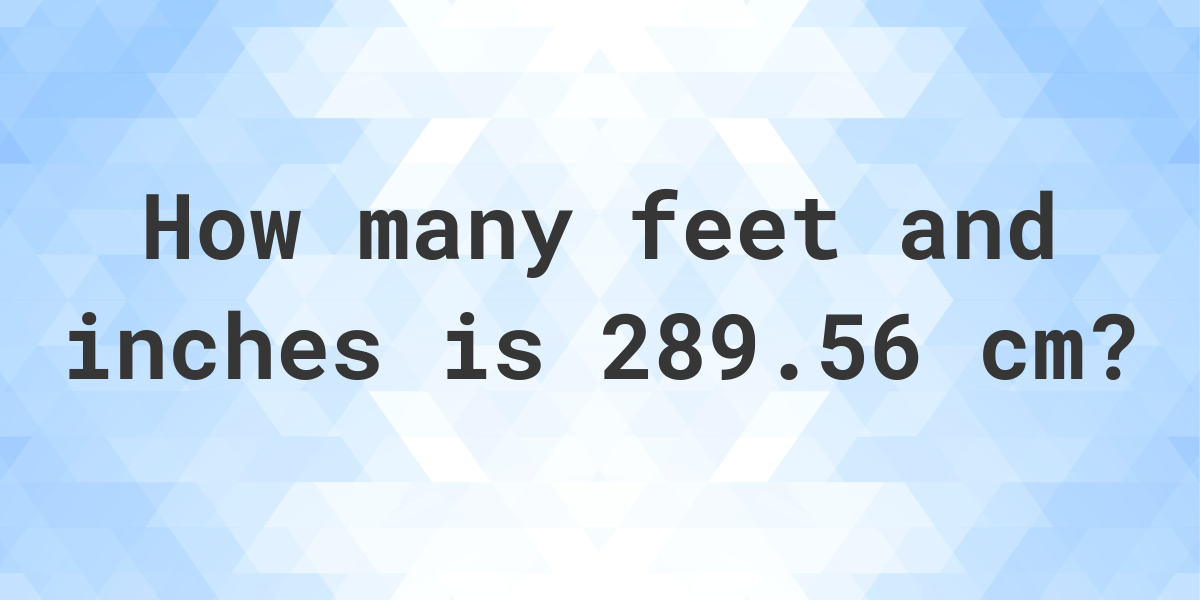 what-is-289-56-cm-in-feet-and-inches-calculatio