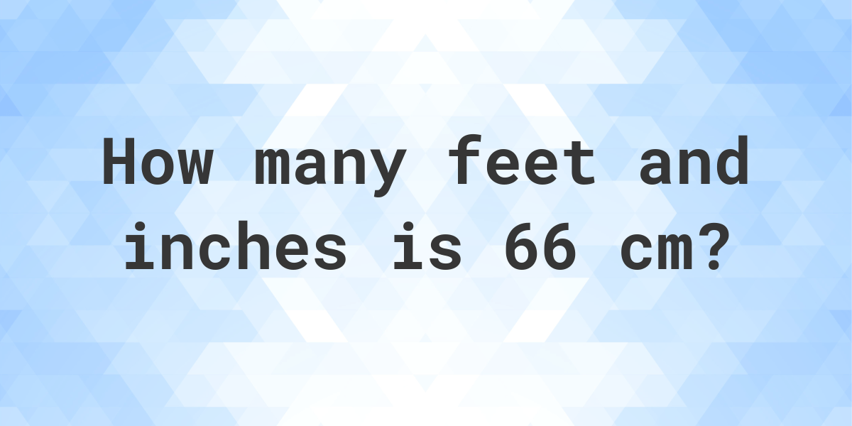 What Is 66 Cm In Feet And Inches Calculatio