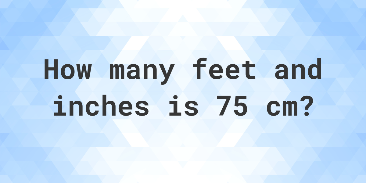 What Is 75 Cm In Feet And Inches Calculatio