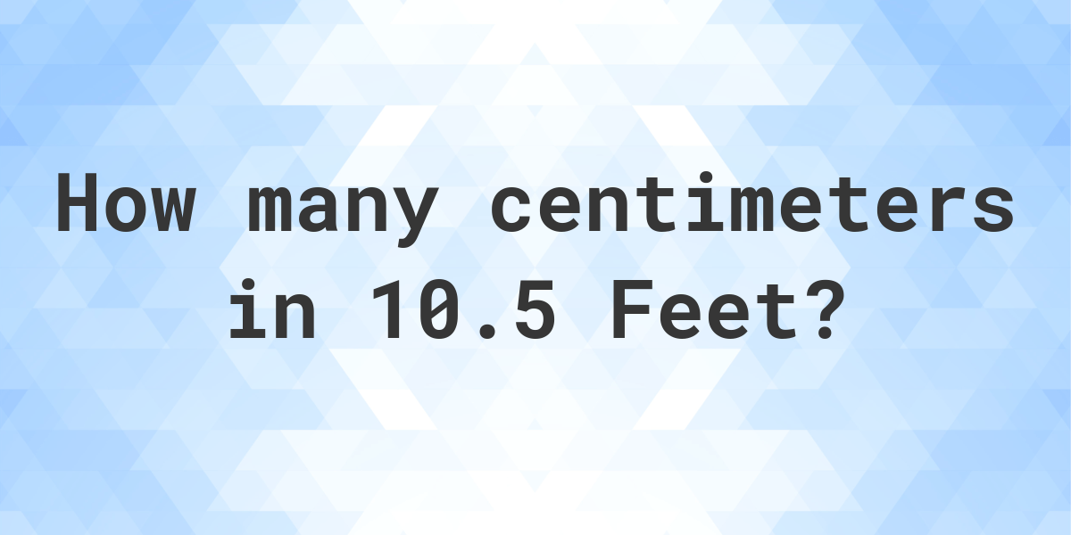 10.5 feet 2025 in cm