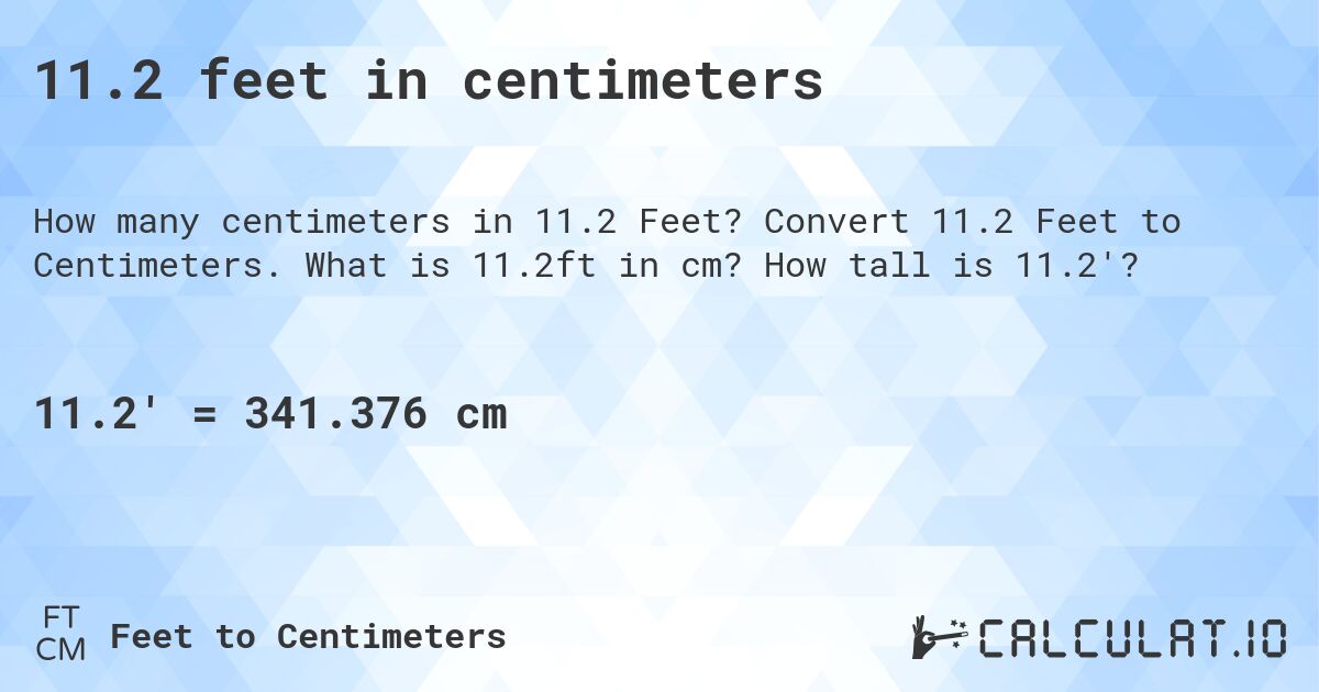 11.2 feet in centimeters. Convert 11.2 Feet to Centimeters. What is 11.2ft in cm? How tall is 11.2'?