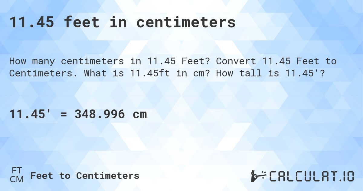 11.45 feet in centimeters. Convert 11.45 Feet to Centimeters. What is 11.45ft in cm? How tall is 11.45'?