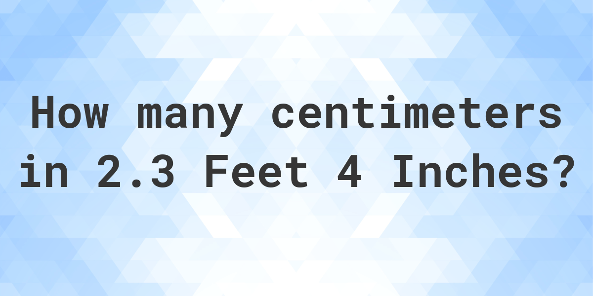 2-3-feet-4-inches-in-centimeters-calculatio