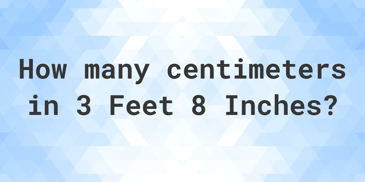 3-feet-8-inches-in-centimeters-calculatio