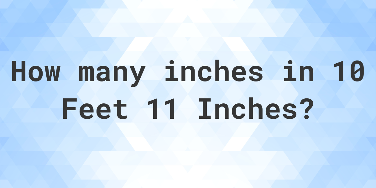 How Many Inches Is 10 Feet Wide