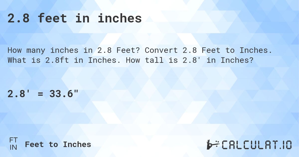 2.8 feet in inches. Convert 2.8 Feet to Inches. What is 2.8ft in Inches. How tall is 2.8' in Inches?
