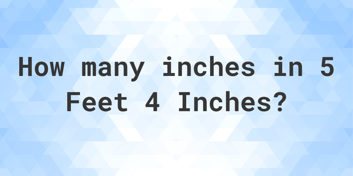 5 feet 4 inches in centimeters sale