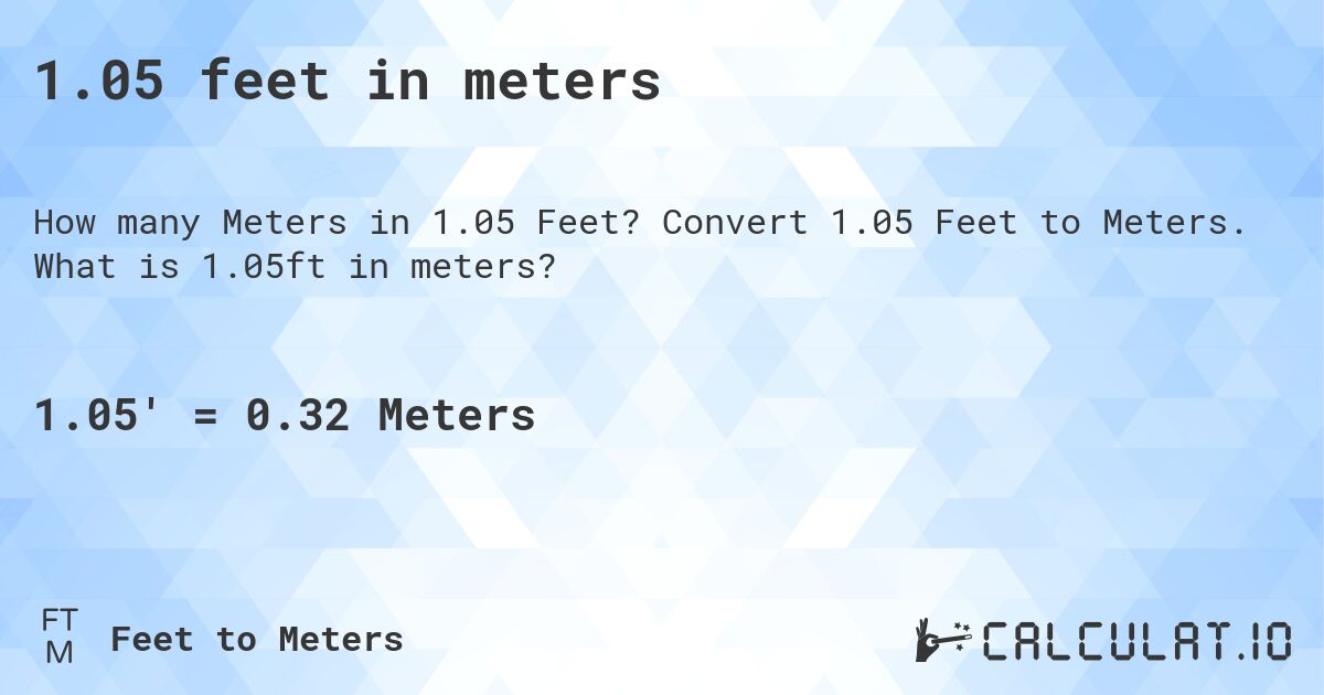 1.05 feet in meters. Convert 1.05 Feet to Meters. What is 1.05ft in meters?