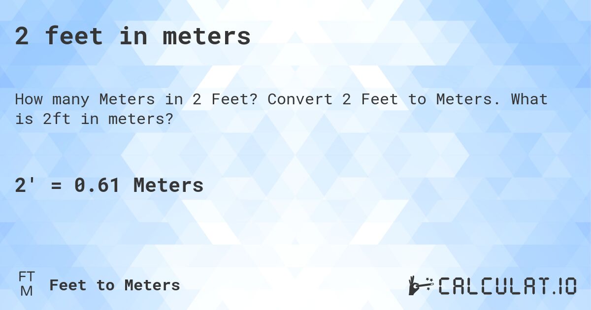 2 Feet In Meters Calculatio