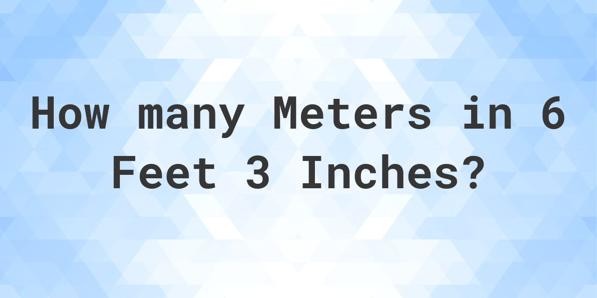esthetisch Harnas boeket 6 feet 3 inches in meters - Calculatio