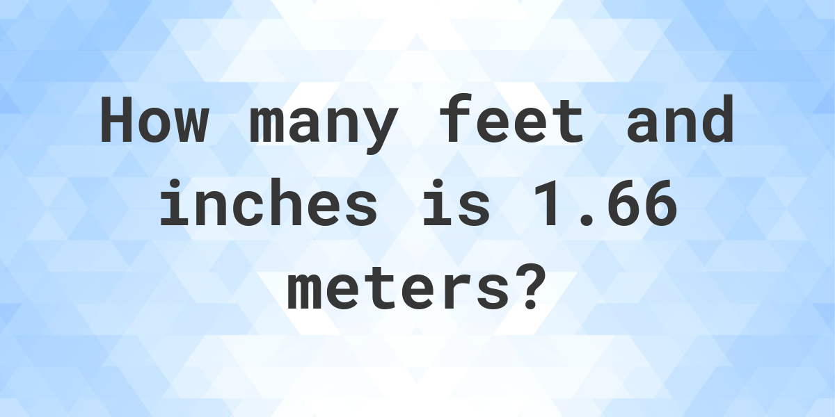 1 66 Meters To Feet And Inches Calculatio