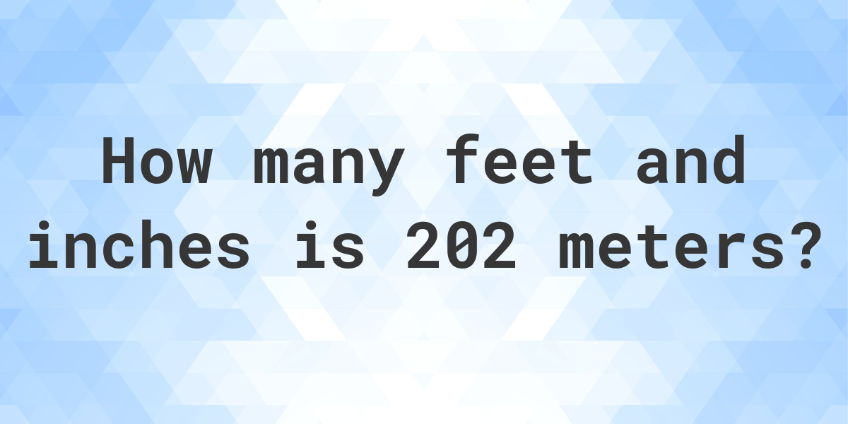 202 Meters to feet and inches Calculatio