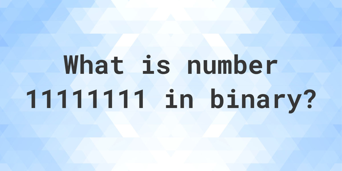 11111111-in-binary-calculatio