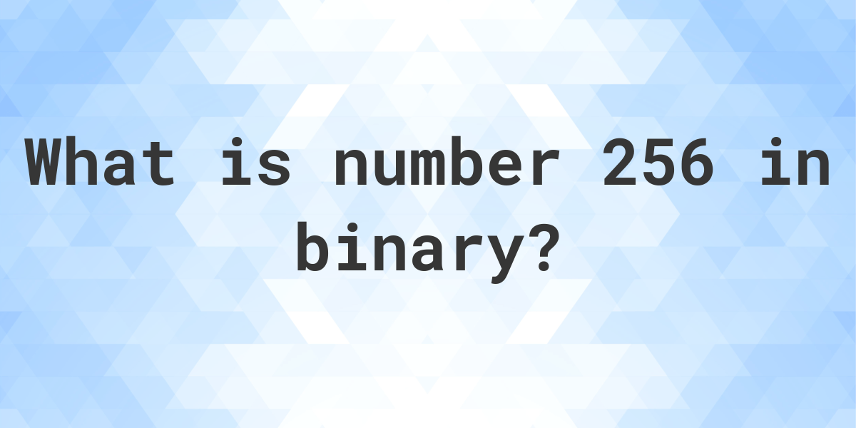 256-in-binary-calculatio