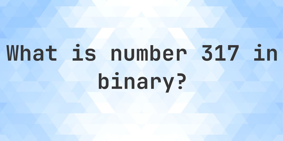 317 in binary - Calculatio