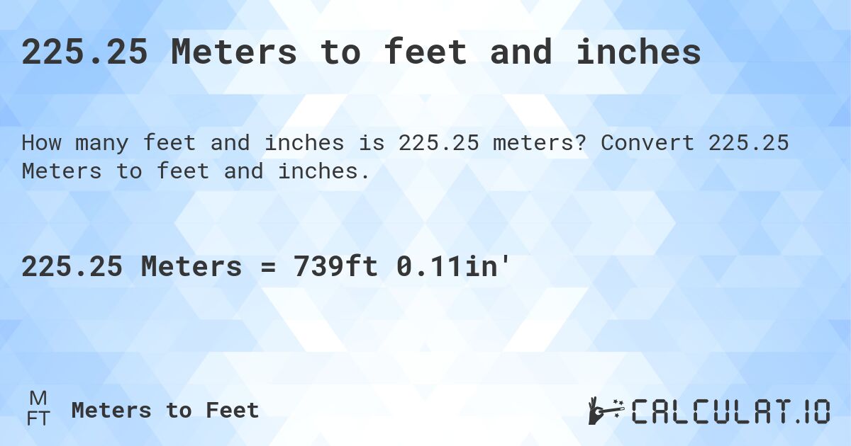 225-25-meters-to-feet-and-inches-convert