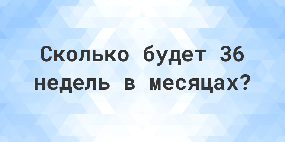 Сколько месяцев в году