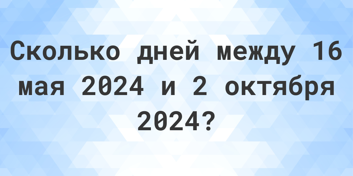 сколько дней прошло с 2015 года по 2024