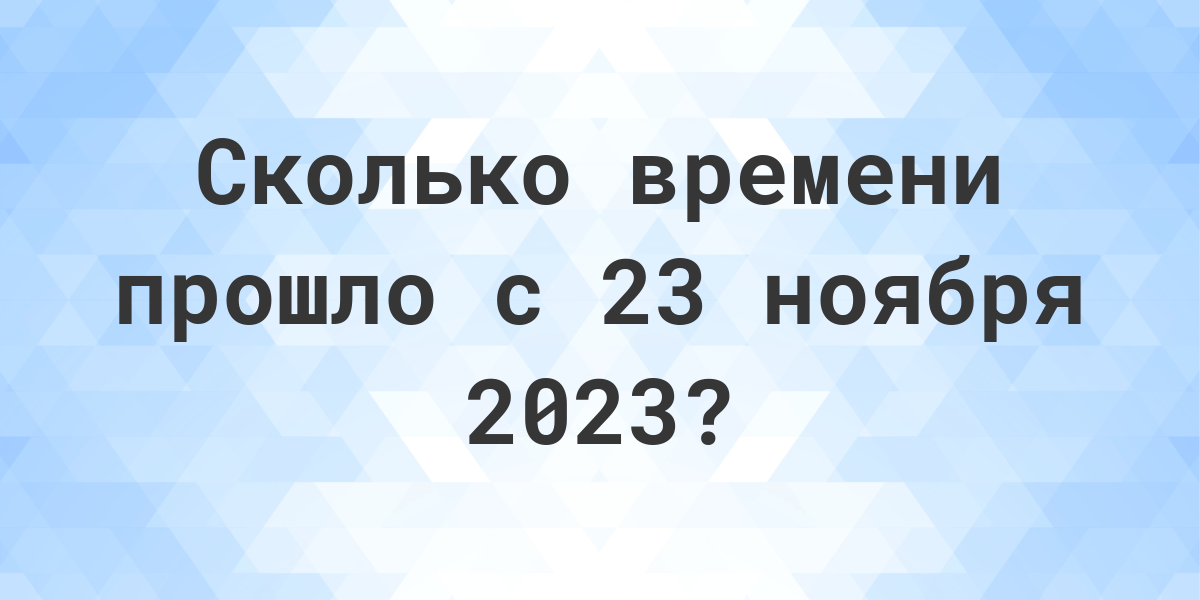 сколько прошло времени с 10 февраля 2023