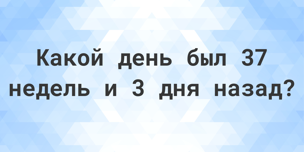 44 неделя